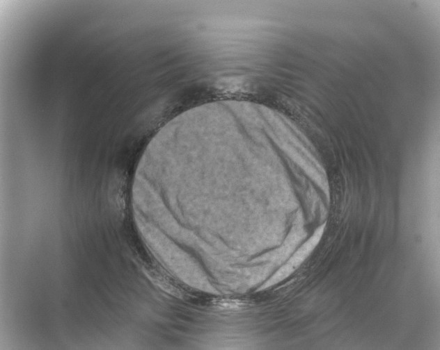 X0000070190710200606232013