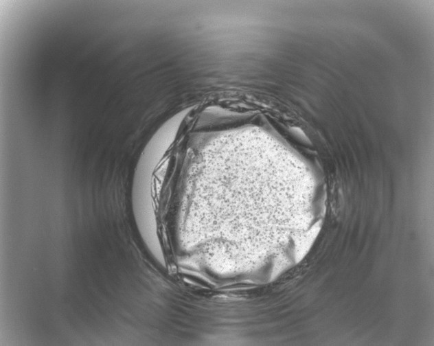 X0000070190714200606232013