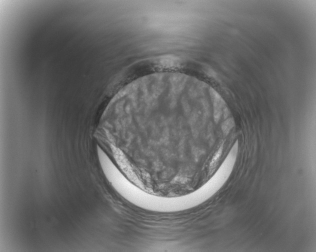 X0000070190715200606232013