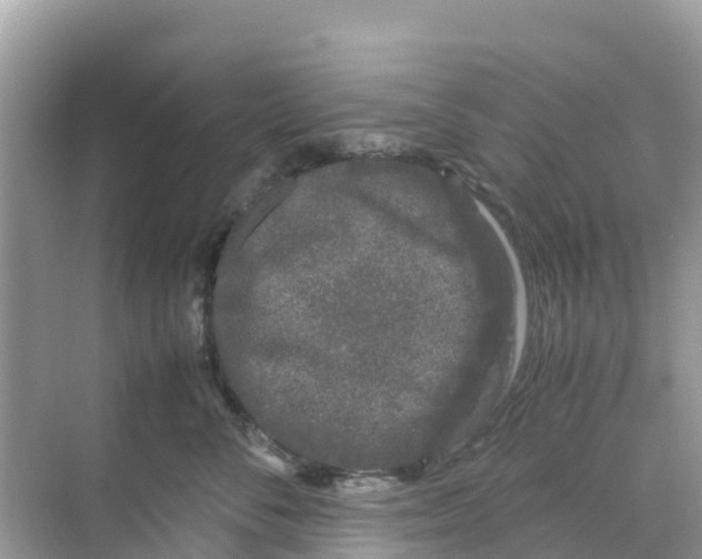 X0000070190716200606232013