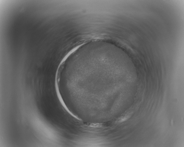 X0000070190720200606232012