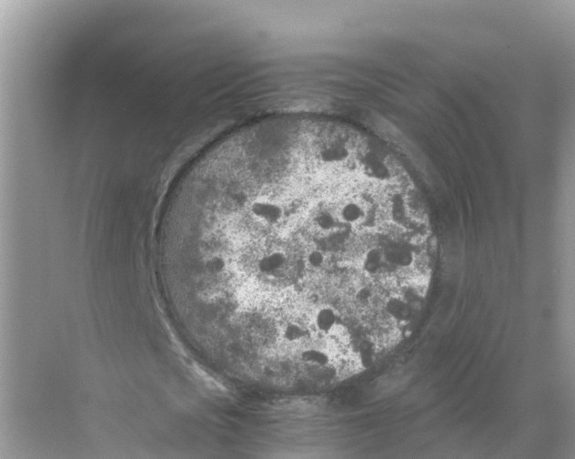 X0000070190721200606232012