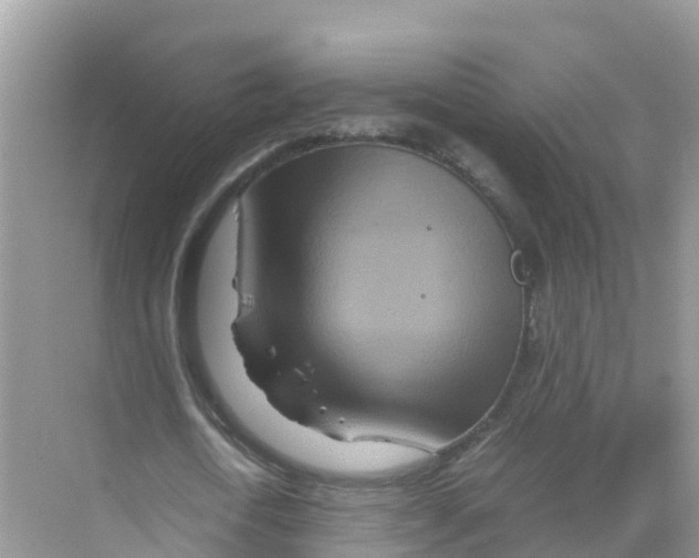 X0000070190722200606232012