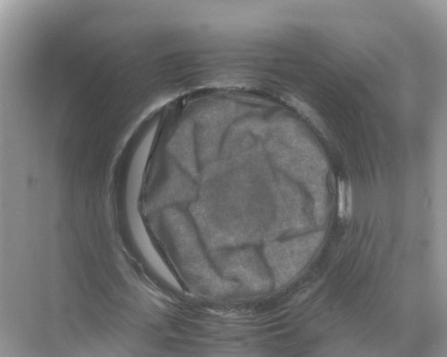 X0000070190723200606232012