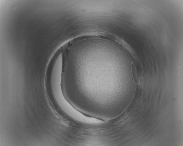 X0000070190724200606232012