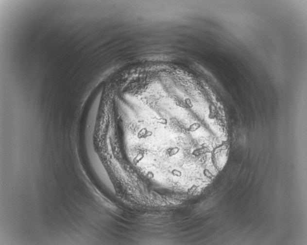 X0000070190725200606232012