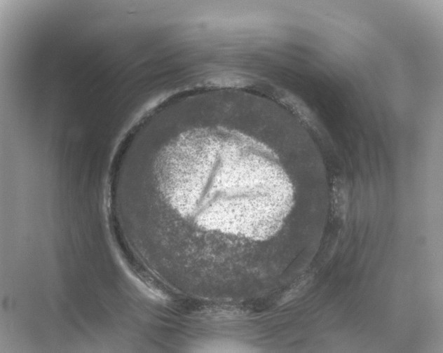 X0000070190726200606232012