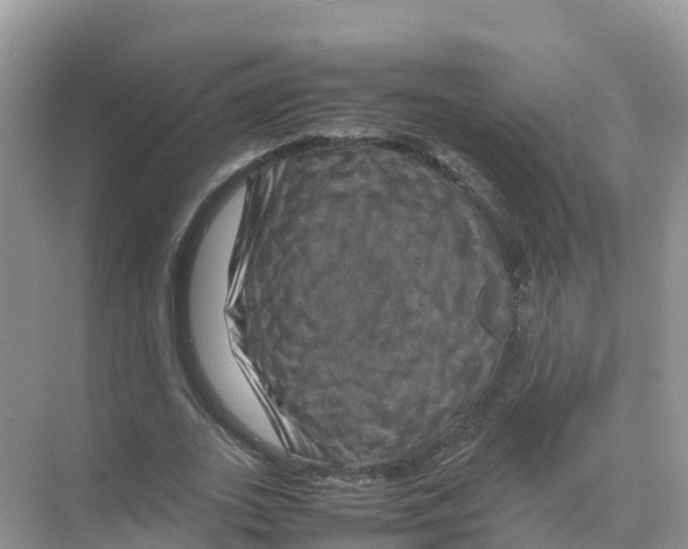 X0000070190727200606232012