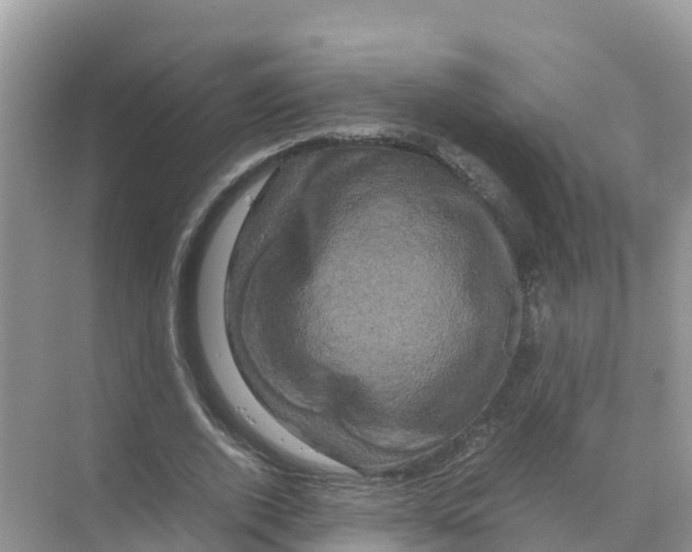 X0000070190728200606232012