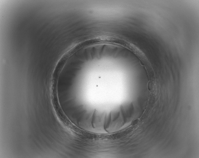 X0000070190730200606232012