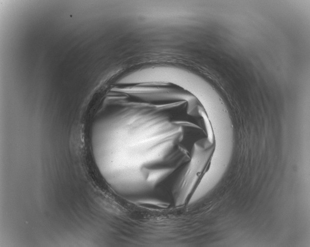 X0000070190731200606232012