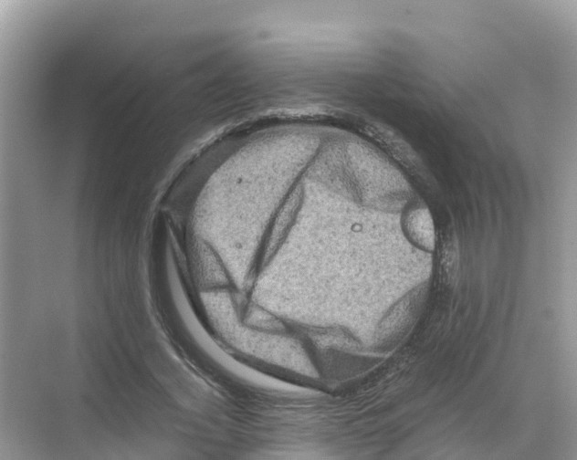 X0000070190732200606232012