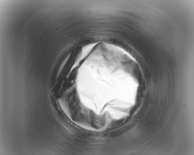 X0000070190733200606232012