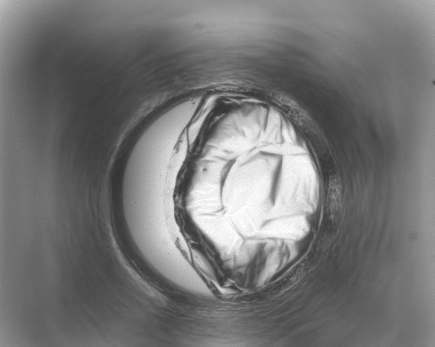 X0000070190734200606232012