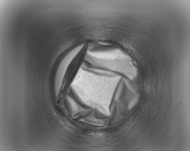 X0000070190735200606232012