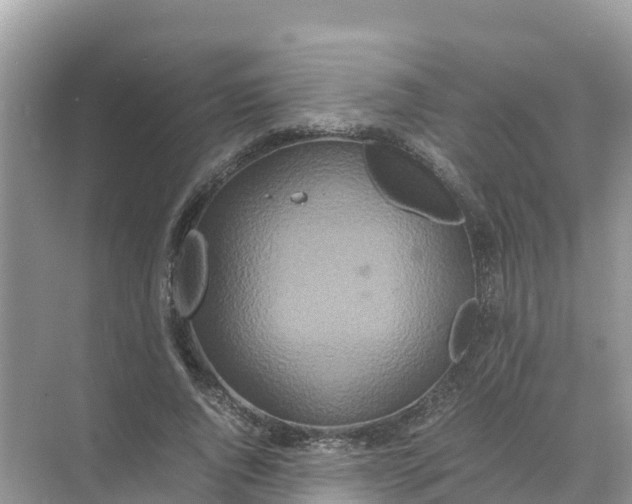 X0000070190736200606232012