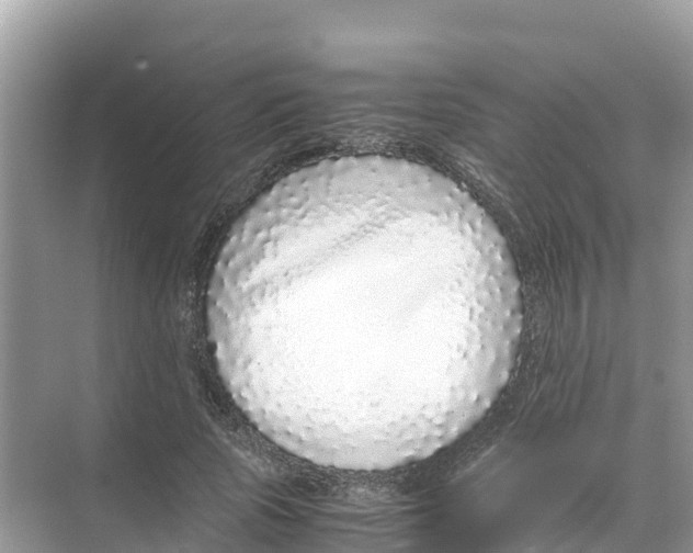 X0000070190737200606232012