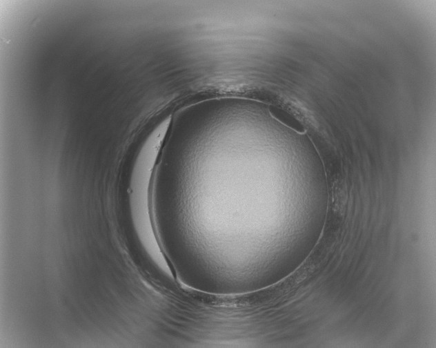 X0000070190740200606232012