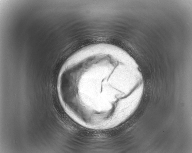 X0000070190741200606232012