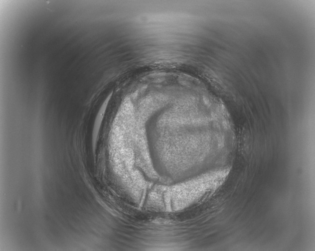 X0000070190742200606232012