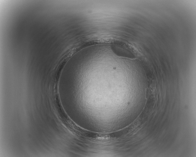 X0000070190744200606232012