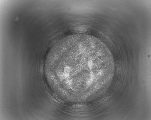 X0000070190745200606232012