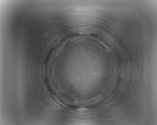 X0000070190748200606232012