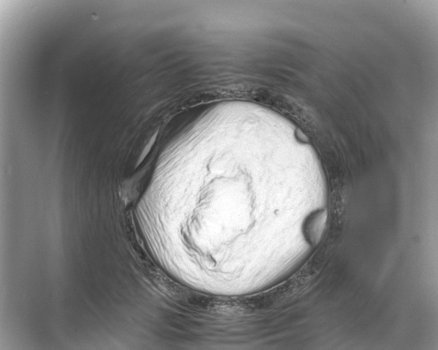 X0000070190749200606232012