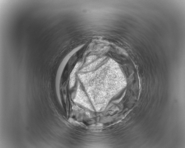 X0000070190750200606232012