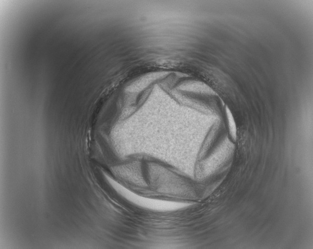 X0000070190752200606232012