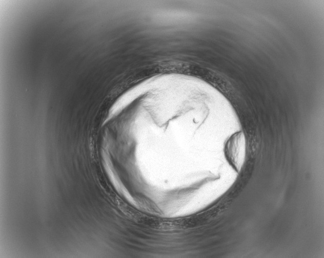 X0000070190753200606232012