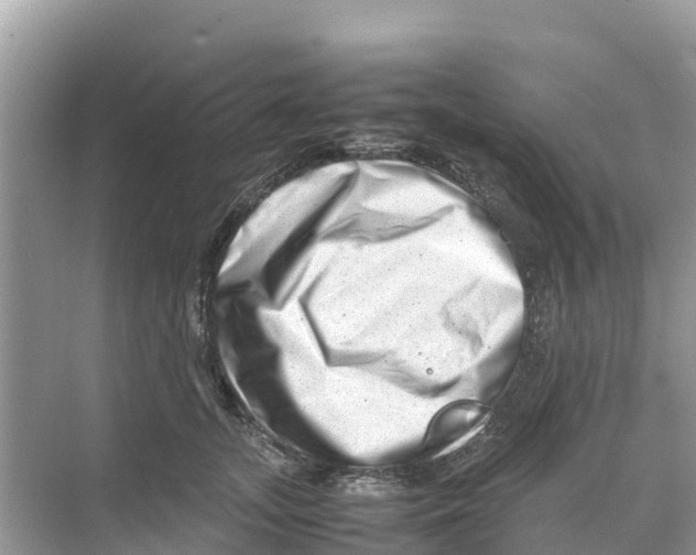 X0000070190755200606232012