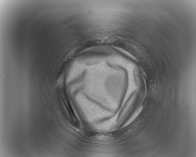 X0000070190756200606232012