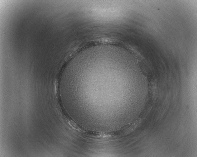 X0000070190760200606232012