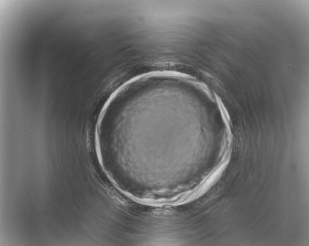 X0000070190762200606232012