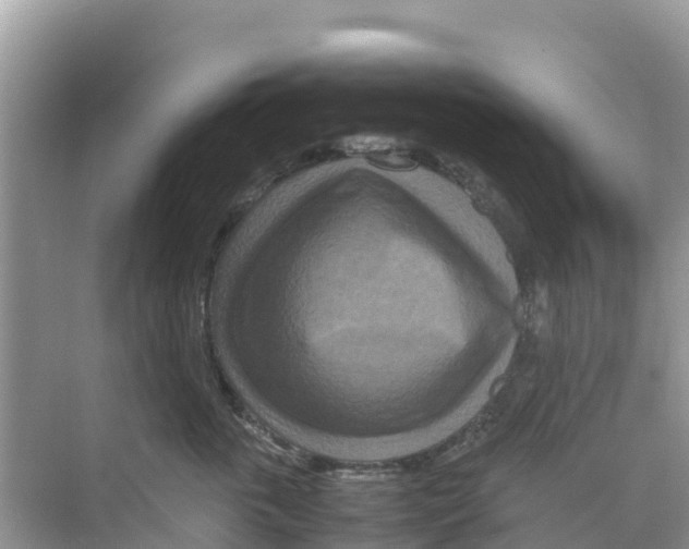 X0000070190763200606232012