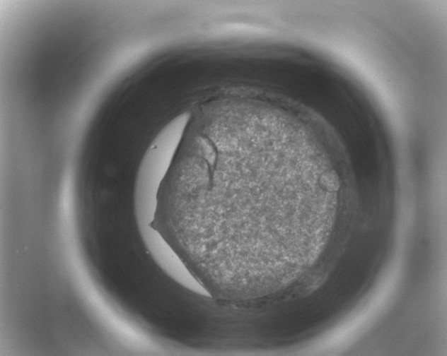 X0000070190765200606232012