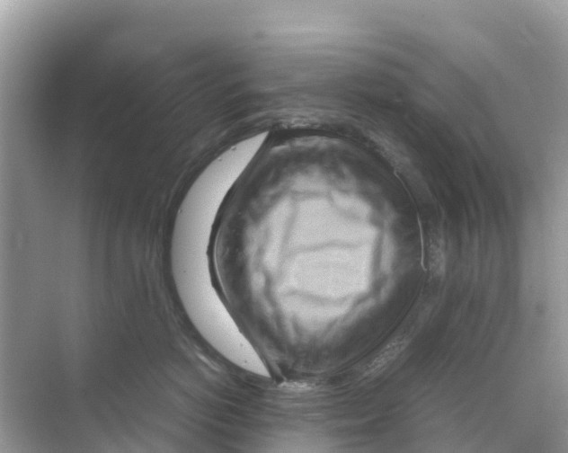 X0000070190766200606232012