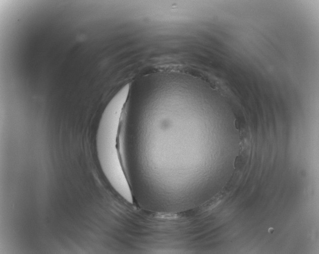 X0000070190767200606232012