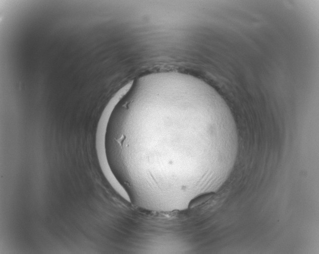 X0000070190768200606232012