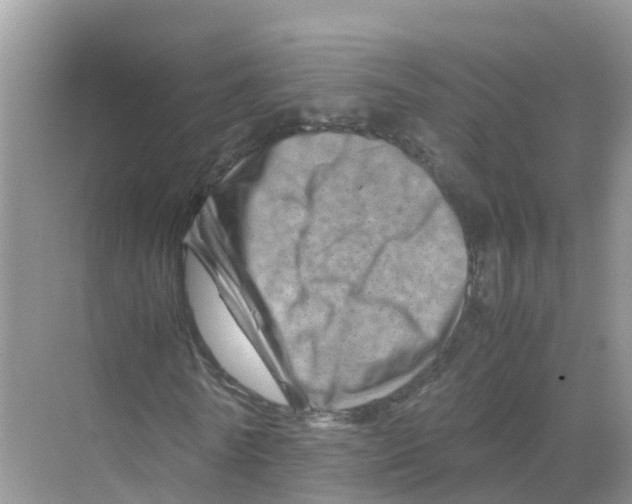 X0000070190770200606232012