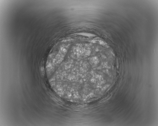 X0000070190771200606232012