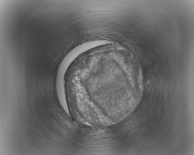 X0000070190772200606232012