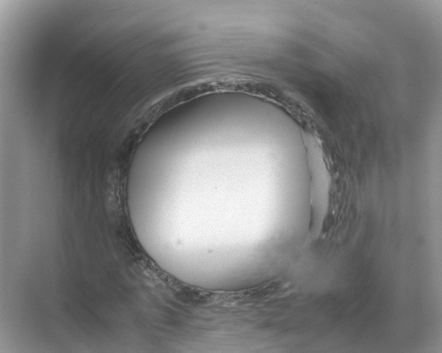 X0000070190773200606232012