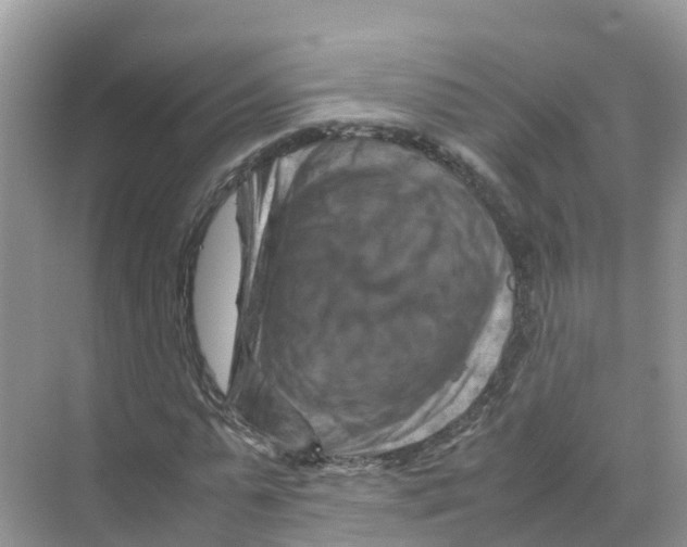 X0000070190775200606232012