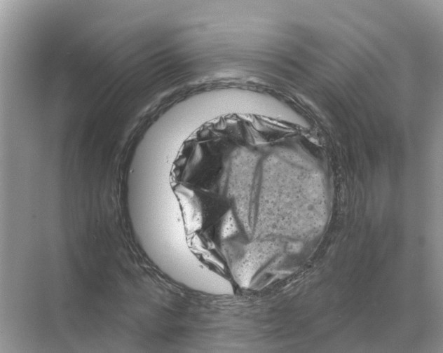 X0000070190776200606232012