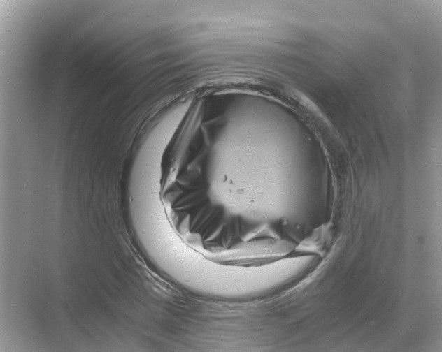 X0000070190777200606232011