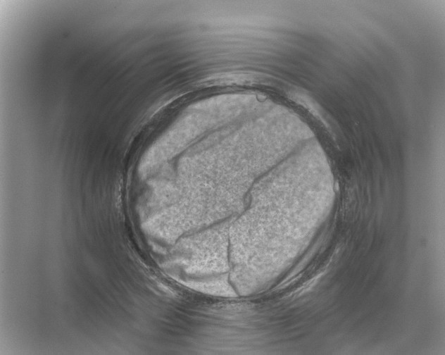 X0000070190778200606232011