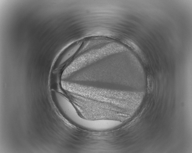 X0000070190780200606232011