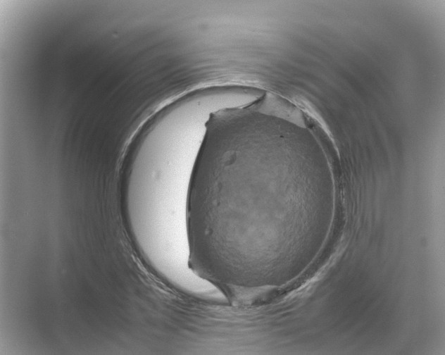 X0000070190781200606232011